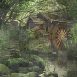my little home in forest