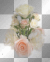 ROSAS ROSAS
