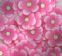 pink flower - melarocks_stamps - melarocks_bg