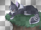 mon loup-loup a moi sur son rocher ^^