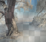 Background Nature (MBT)