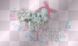 super junior---no other