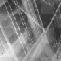 Animated background Animated background