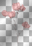 transparent rosa deco flower pink vintage flor [1ֆ]