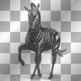 equideow