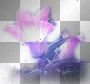 flowers © εïз.orïġïnal bÿ нëënä .. εïз 