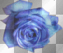 Blue rose vintage deco emo frame dark goth gothic nenaio transparent png 