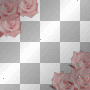 Roses Frame *Peach* [TriskLyps]