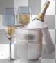 champagne  ms