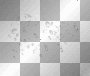 Water drops 
