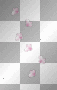 Deco flowers 
