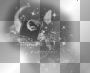 Magic,black'white.©Ƹ̵̡Ӝ̵̨̄Ʒ...hïρρÿсhïсќ33