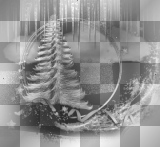 Christmas,black white.©Ƹ̵̡Ӝ̵̨̄Ʒ...hïρρÿсhïсќ33
