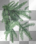 CHRISTMAS/TFM448,CHRISTMAS, CHRISTMAS/TFM448,CHRISTMAS,