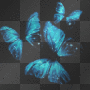 Triple Tropical Butterflies BG~Blue