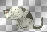 licking cat 