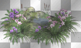 flowers garden