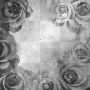 Roses paper vintage black white