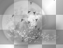 moon clouds birds ©dK moon clouds birds ©dK