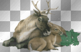 Mother Reindeer and her Fawn by Teresa1919
