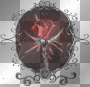 gotic rose