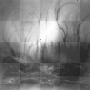 Dark Forest