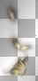 butterfly gold deco ©dK