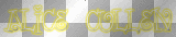 Alice Cullen Name In Glow~Yellow