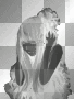 ╫STOP!╫ ╫STOP!╫