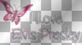 I love Elvis Presley