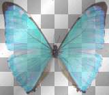 ➸♥ (Bj) Blue butterfly transparent glitter / papillon bleu / clipart