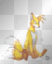 tails the fox tails the fox