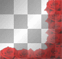 MELBA frame rosas rojas