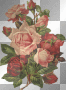 Rosen