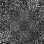 MELBA BACKGROUND  GLITTER