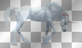 Howrse Einhorn
