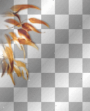 Leaves border orange 