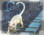 accessoire musique