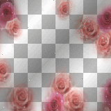 frame pink border flowers flower ©dK