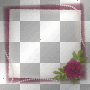 frame fantasy pearls rose flower ©dK