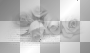 white border flowers roses letter quote ©dK