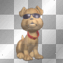 Cool Dog