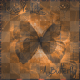 Love-Is-Like-A-butterfly-BG~Orange