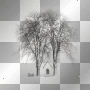 WINTER ZIMKA TRANSPARENT TREE BLACK WINTER ZIMKA TRANSPARENT TREE BLACK