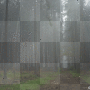  landschaft     bäume  hintergrund  wald landscape trees fog background forest