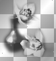 Deco Deco