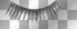 lashes