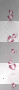 SERCE HEART LOVE valentine  PINK
