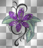 Floresita morada