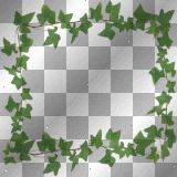 Leaves frame green